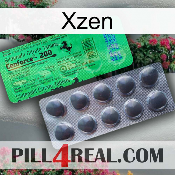 Xzen new04.jpg